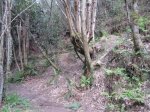 IMG_0173.JPG