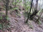 IMG_0174.JPG