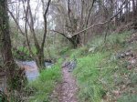 IMG_0175.JPG