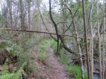 IMG_0176.JPG
