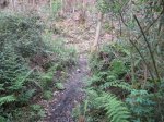 IMG_0182.JPG