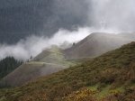 IMG_7366.jpg