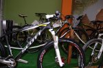 DSC_1176.JPG