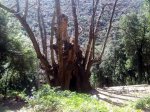 20130413_115035.jpg