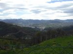 CIMG1253 (Copiar).JPG