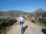 bici 2.jpg