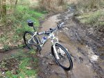 Foto 13-04-13 20 07 16.jpg