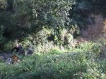 IMG_1163.JPG