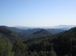 IMG_1175.JPG