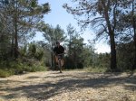 IMG_1236.JPG