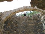 IMG_1243.JPG