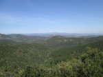 IMG_1253.JPG