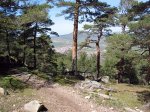 IMG_1590.jpg
