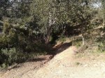 2013-04-13 10.30.15.jpg
