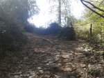 2013-04-13 11.12.53.jpg