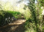 2013-04-13 11.16.31.jpg
