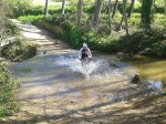 2013-04-13 11.51.35.jpg