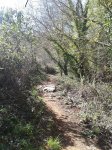 2013-04-13 12.00.42.jpg