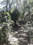 2013-04-13 12.46.47.jpg
