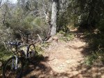 2013-04-13 12.51.45.jpg