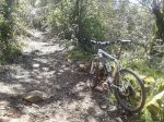 2013-04-13 12.52.02.jpg