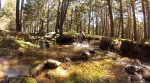 GoPro_13-Camping.jpg