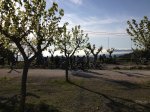 IMG_4728 (Copiar).JPG