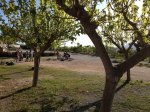 IMG_4729 (Copiar).JPG