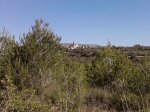 P140413_10.49.jpg