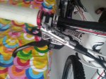 20130405_170559.jpg