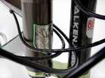 falkenjagd_cannondale6.jpg