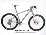_wsb_716x539_TeleonRS_new.jpg
