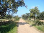 DSC00426.jpg