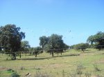 DSC00433.jpg