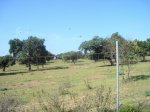 DSC00434.jpg