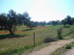DSC00445.jpg