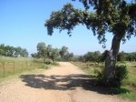 DSC00447.jpg
