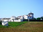 DSC00448.jpg