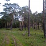 DSC00020.JPG