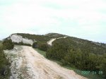 PICT1427 (Large).JPG