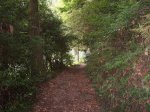 07camino de santiago.JPG