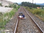 16camino de santiago.JPG