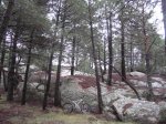 IMG_2333.jpg