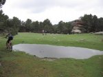 IMG_2349.jpg