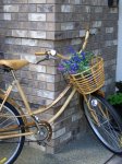 newbikebambu.jpg
