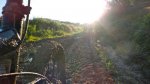 DSCN8897.jpg