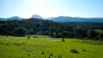 DSCN8979.jpg