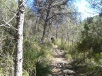 2013-04-14 11.06.53.jpg
