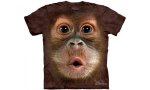 orangutan_lg_2.jpg