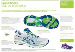 GEL - DS Trainer 17.jpg